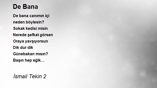 İsmail Tekin 2