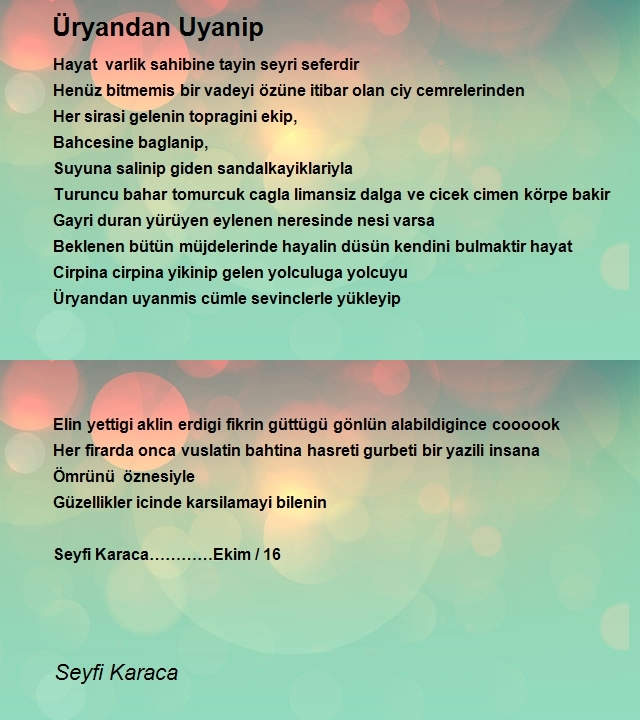 Seyfi Karaca