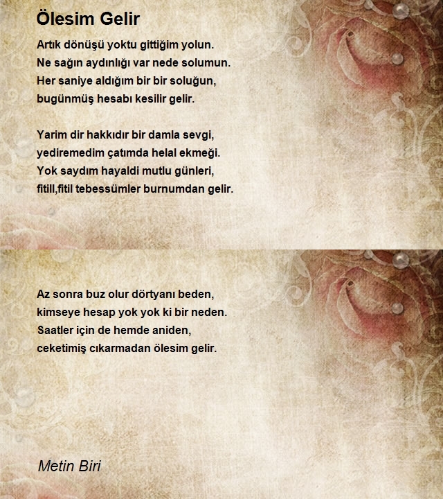 Metin Biri