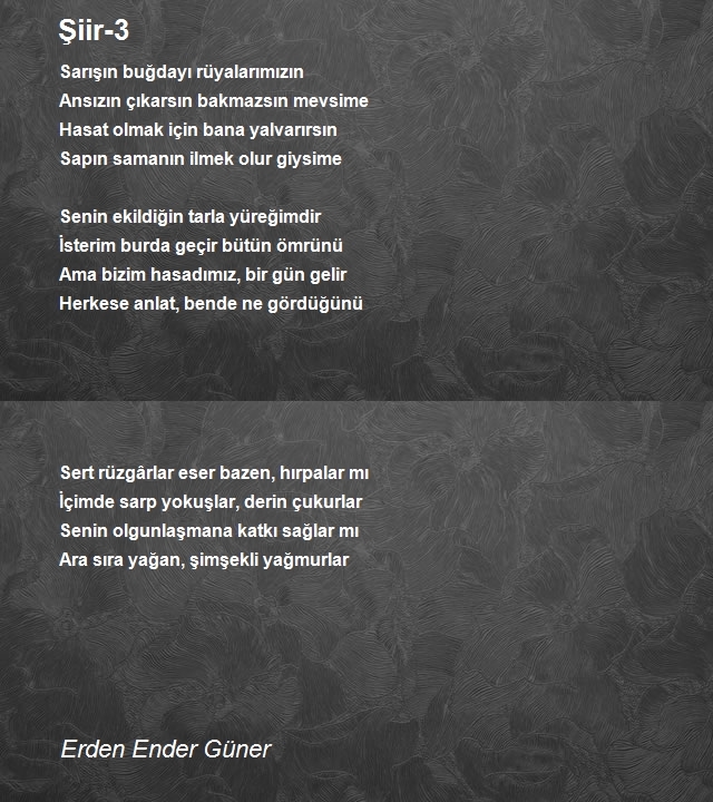 Erden Ender Güner