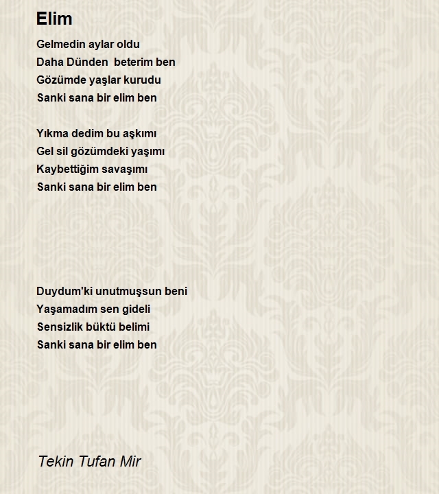 Tekin Tufan Mir