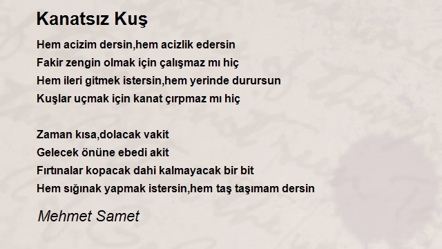 Mehmet Samet