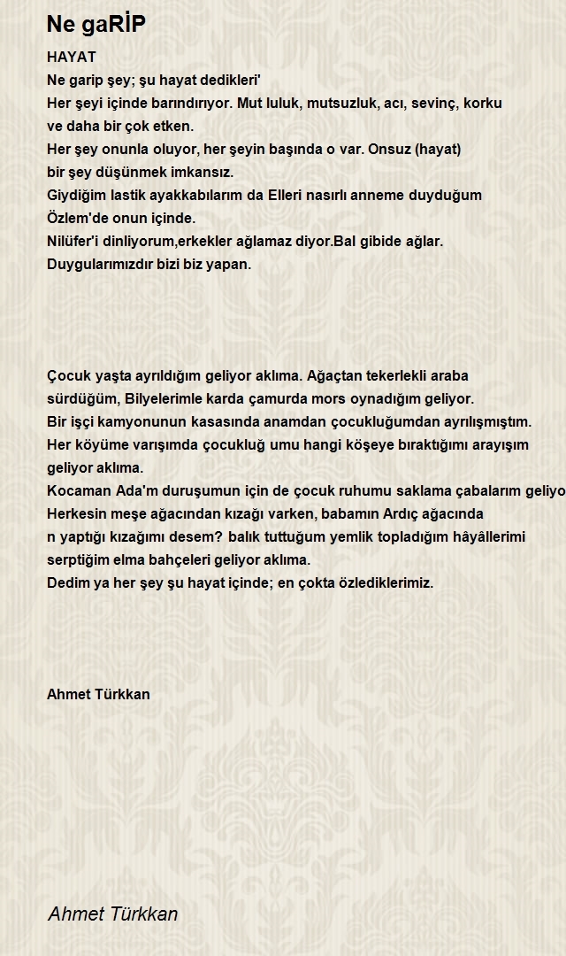 Ahmet Türkkan