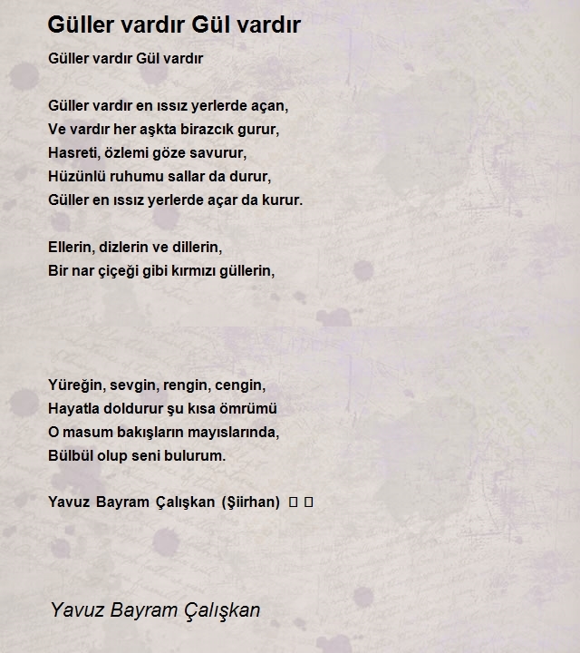 Yavuz Bayram Çalışkan