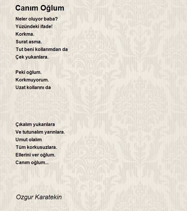 Ozgur Karatekin