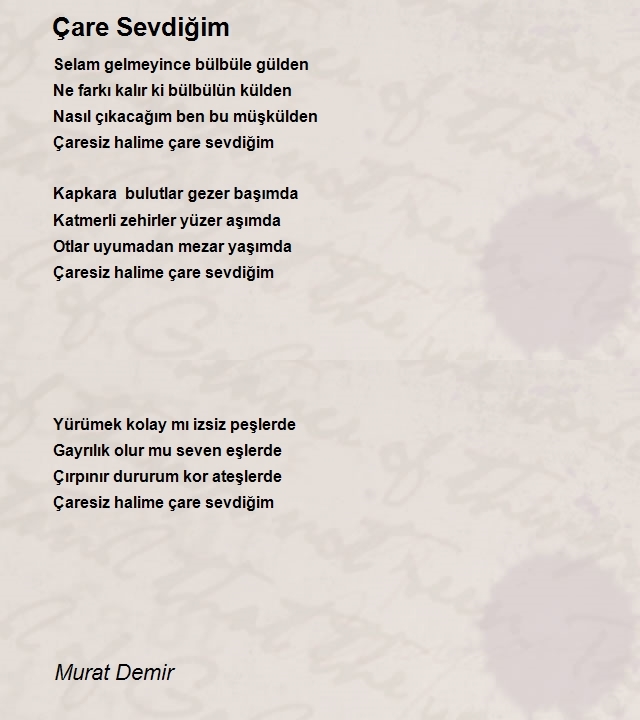 Murat Demir