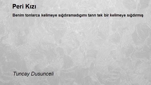 Tuncay Dusunceli