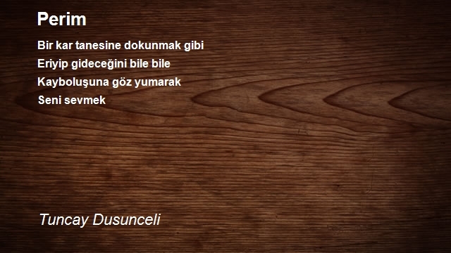 Tuncay Dusunceli