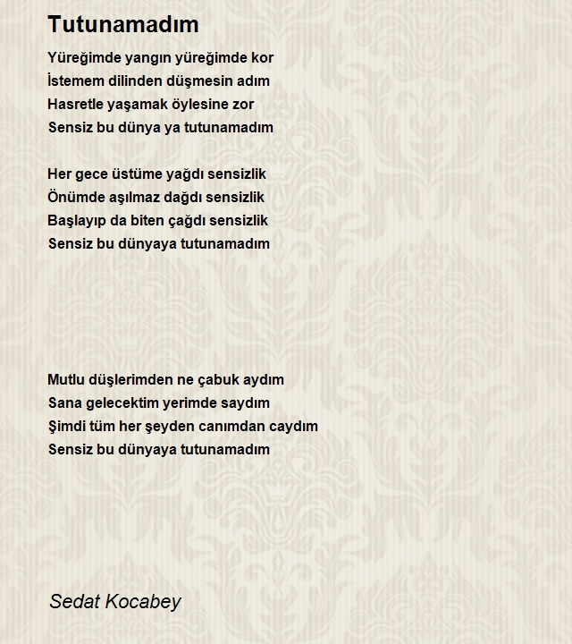 Sedat Kocabey