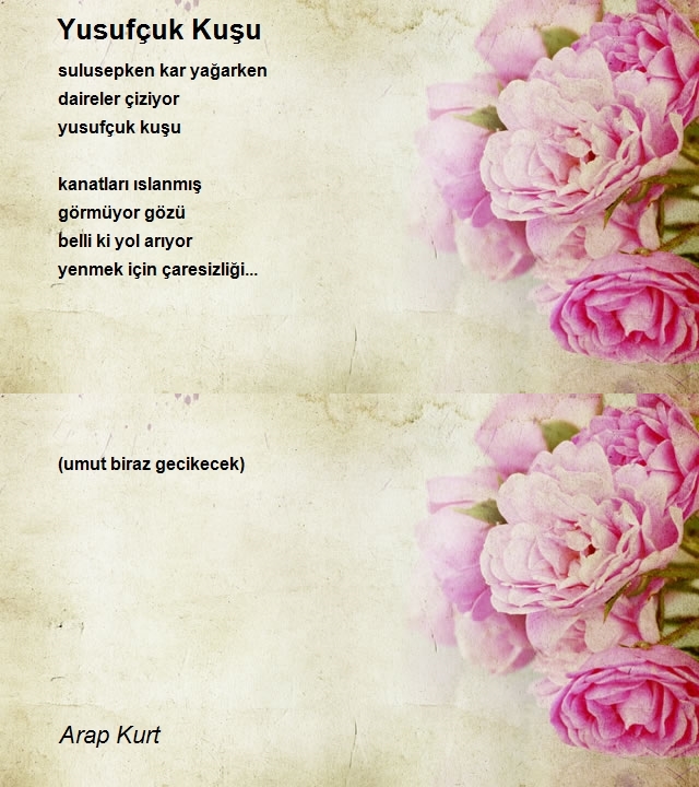 Arap Kurt