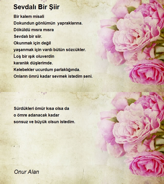 Onur Alan