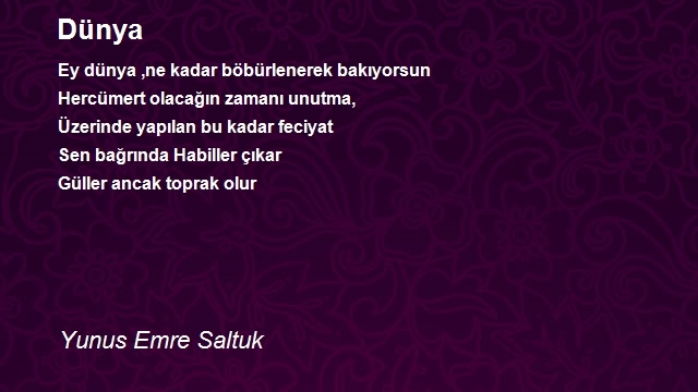 Yunus Emre Saltuk