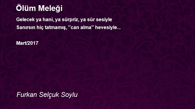 Furkan Selçuk Soylu