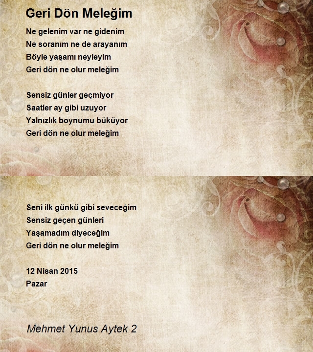 Mehmet Yunus Aytek 2