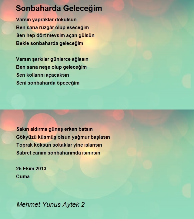 Mehmet Yunus Aytek 2