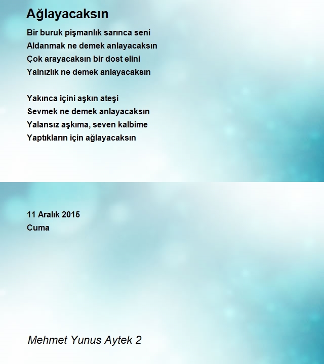 Mehmet Yunus Aytek 2