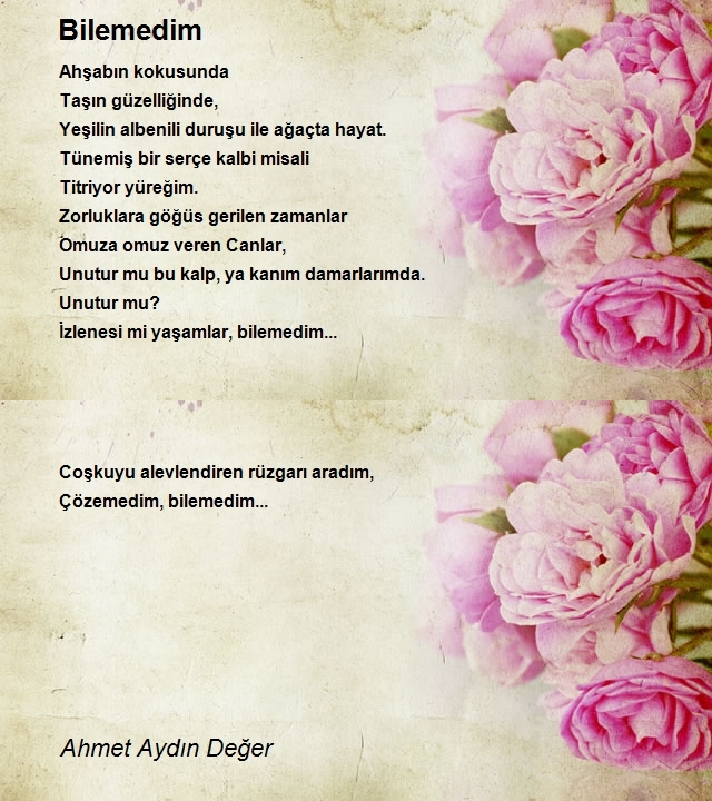 Ahmet Aydın Değer