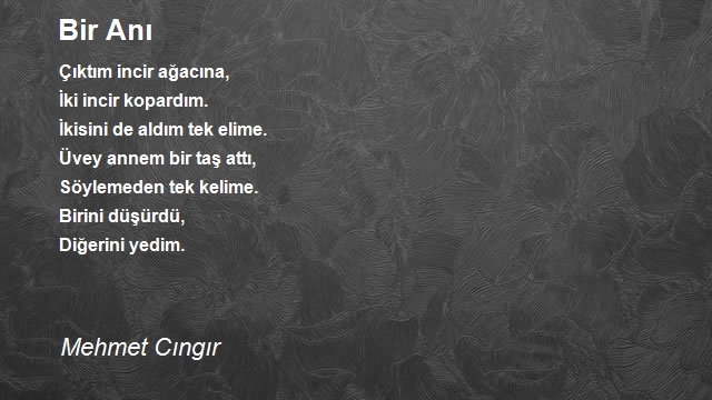 Mehmet Cıngır