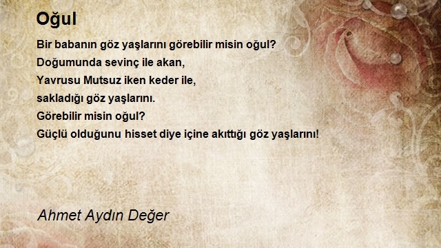 Ahmet Aydın Değer