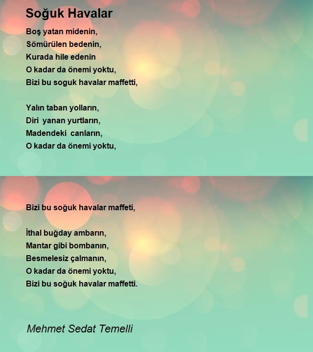 Mehmet Sedat Temelli