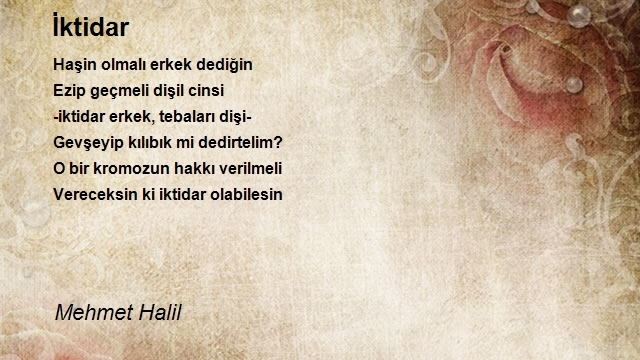 Mehmet Halil