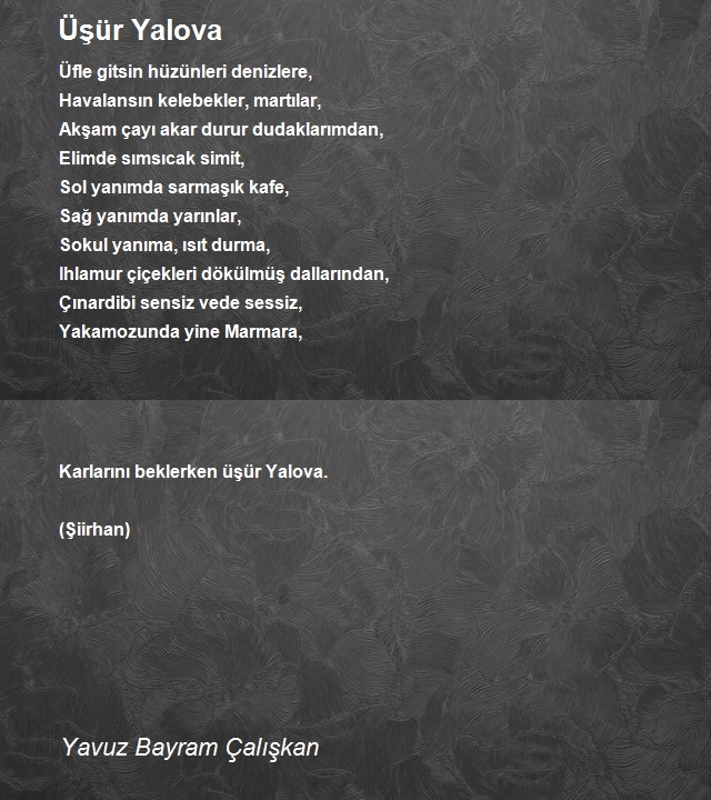 Yavuz Bayram Çalışkan