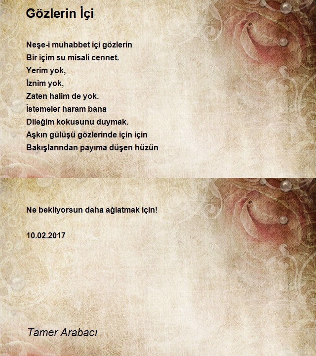 Tamer Arabacı