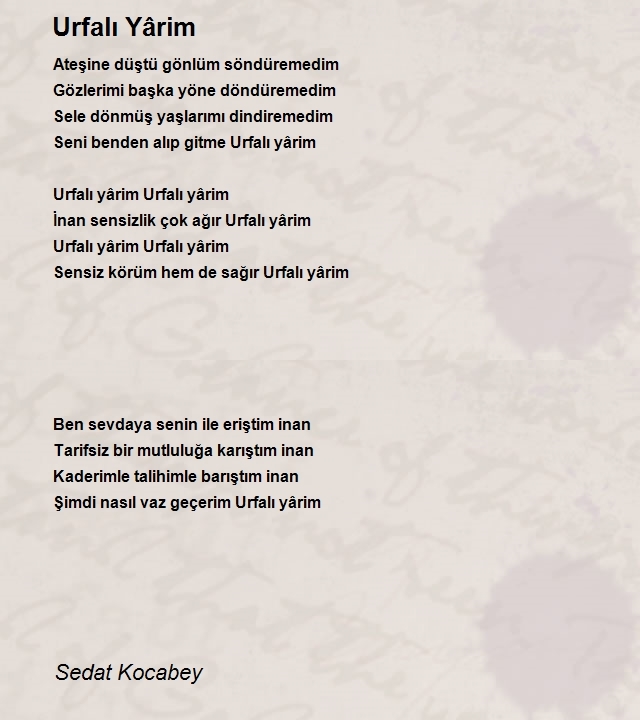 Sedat Kocabey