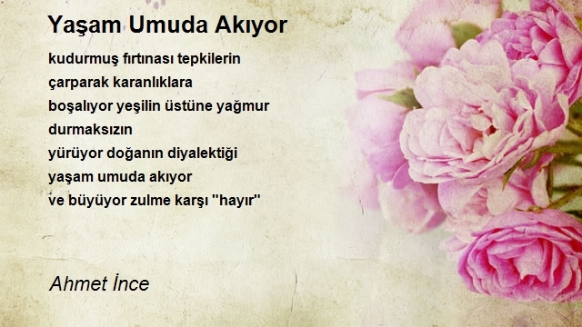 Ahmet İnce