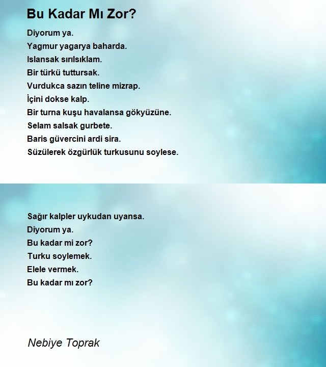 Nebiye Toprak