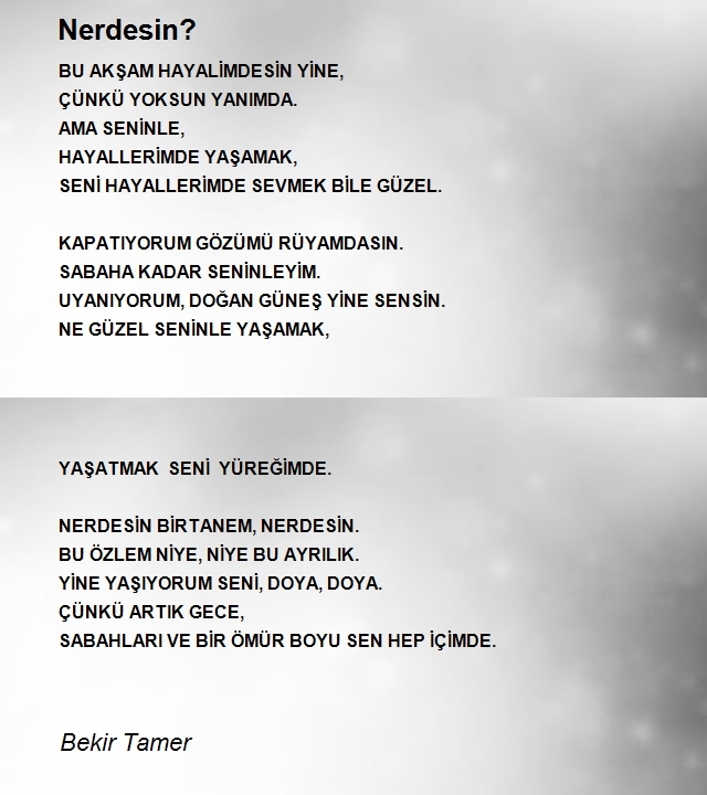 Bekir Tamer