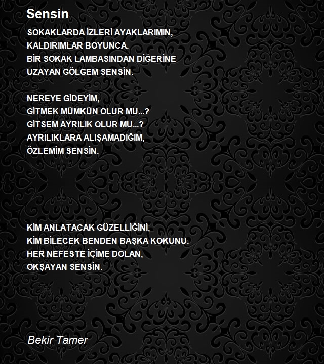 Bekir Tamer