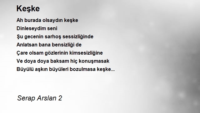 Serap Arslan 2