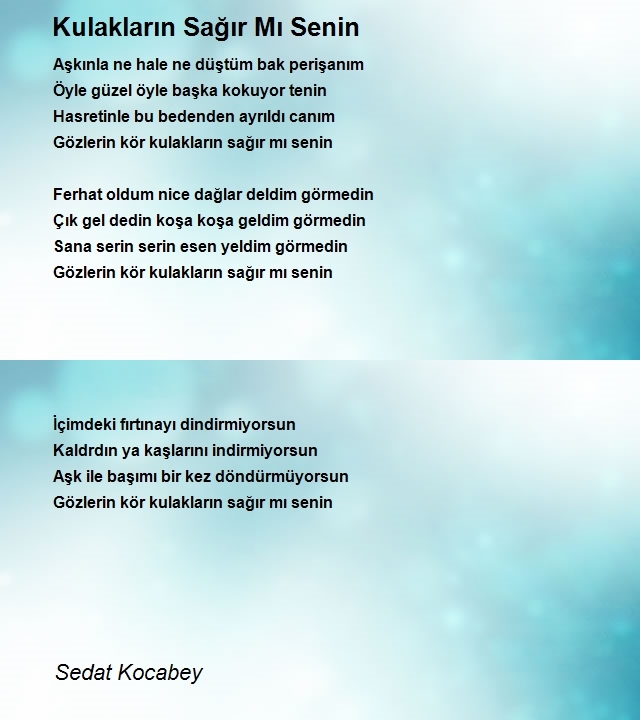 Sedat Kocabey