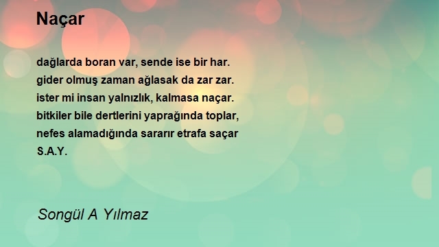 Songül A Yılmaz