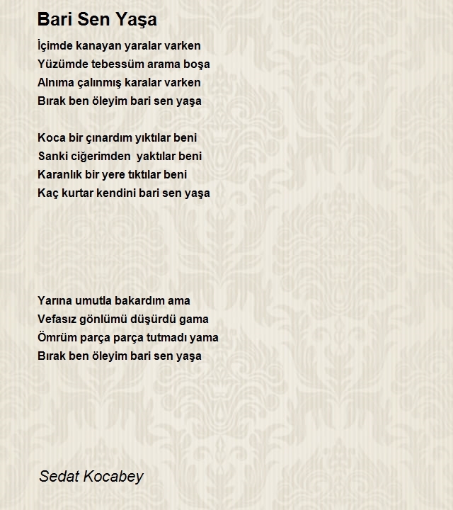 Sedat Kocabey