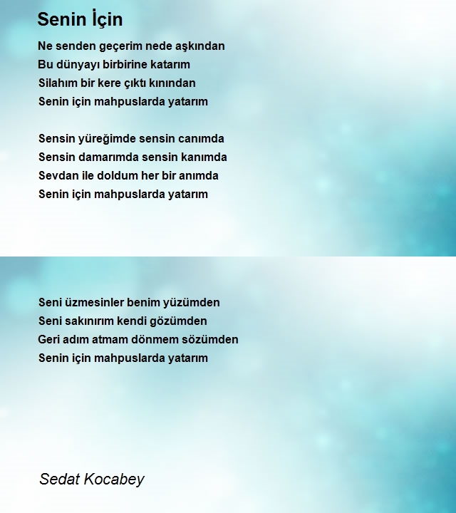 Sedat Kocabey