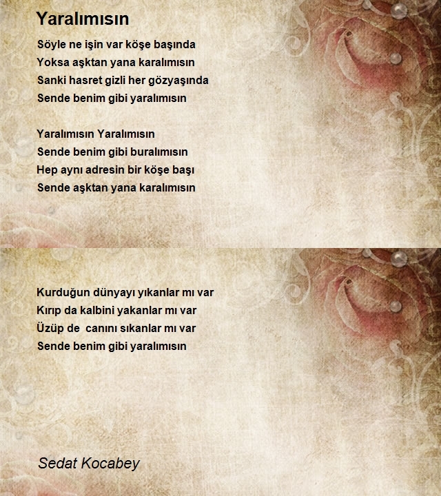 Sedat Kocabey