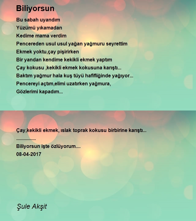 Şule Akşit