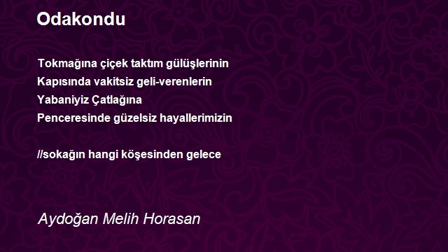 Aydoğan Melih Horasan