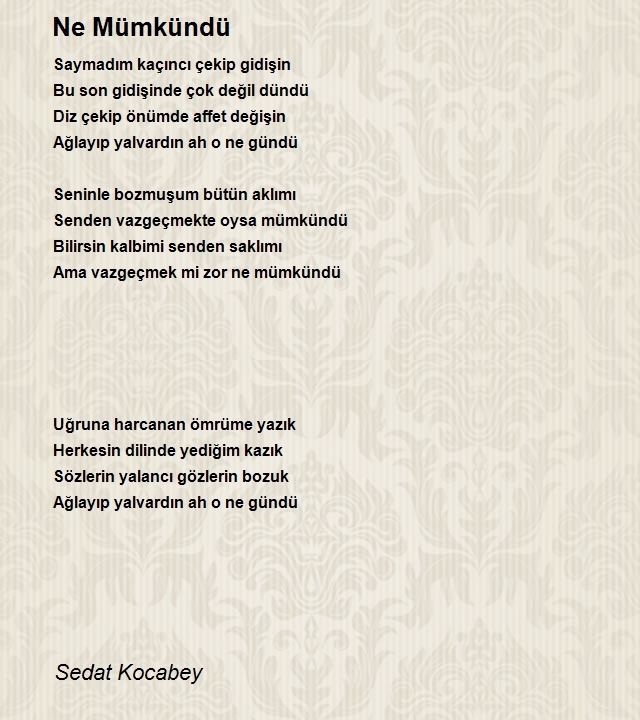 Sedat Kocabey