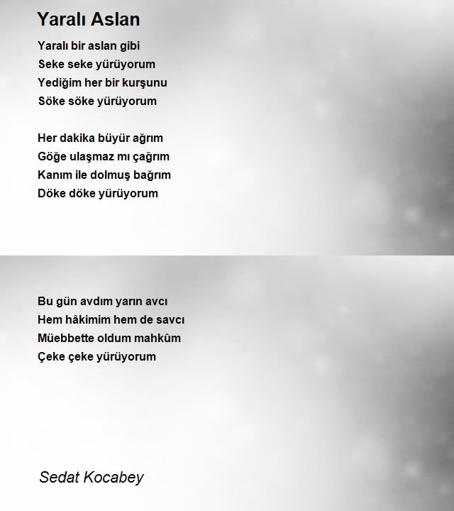 Sedat Kocabey