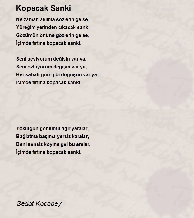 Sedat Kocabey