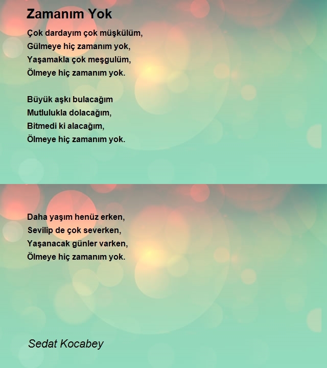 Sedat Kocabey