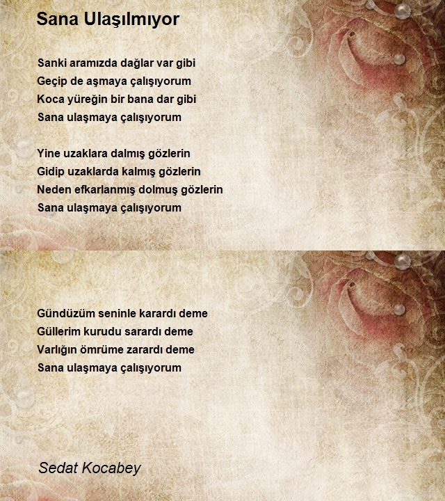 Sedat Kocabey