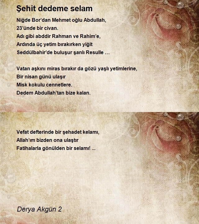 Derya Akgün 2