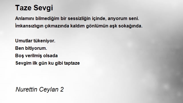 Nurettin Ceylan 2