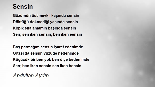 Abdullah Aydın