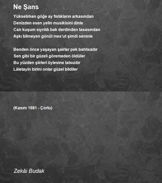 Zekâi Budak