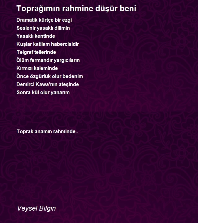 Veysel Bilgin